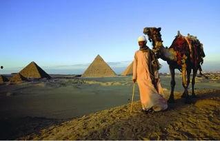 外国人爆料埃及视频  第1张