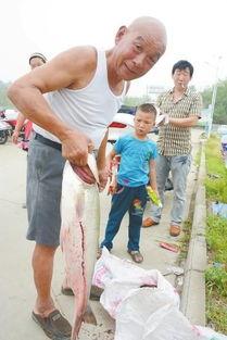 汝州爆料新闻,揭秘当地民生热点事件背后的真相 第1张 汝州爆料新闻,揭秘当地民生热点事件背后的真相 第1张